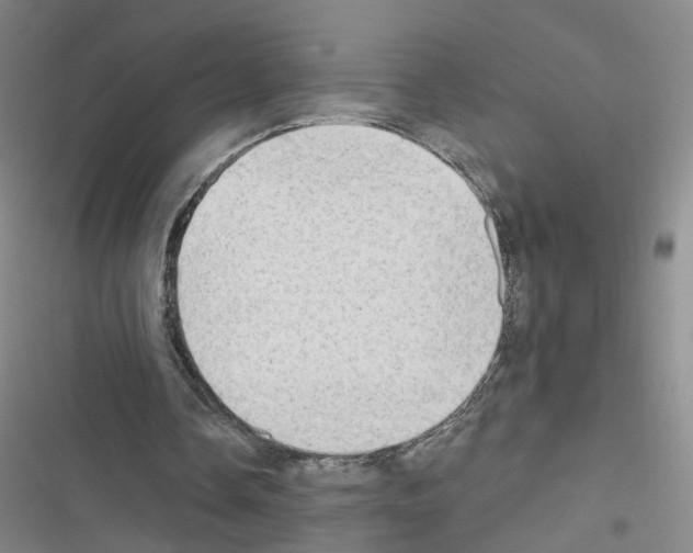X0000116450338201001191557