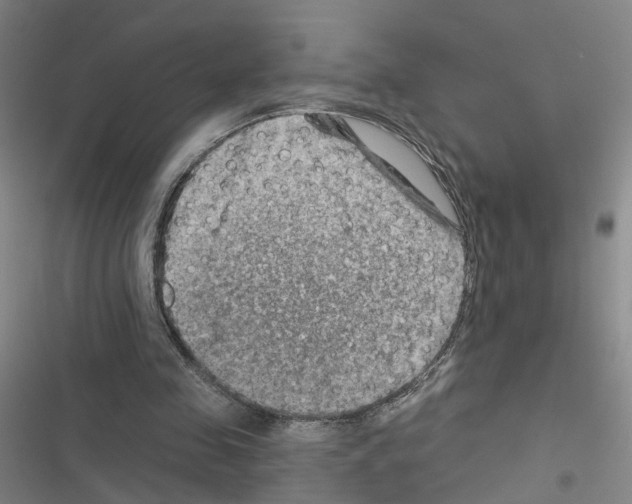 X0000116450341201001191557