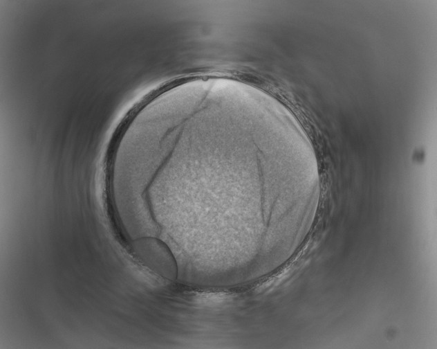 X0000116450342201001191557