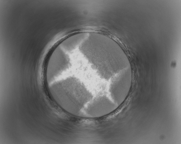 X0000116450343201001191557