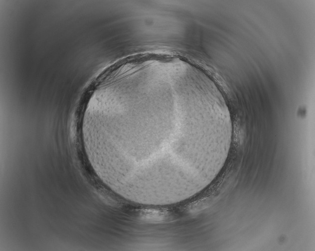 X0000116450347201001191557