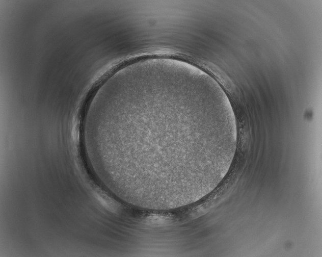 X0000116450350201001191557