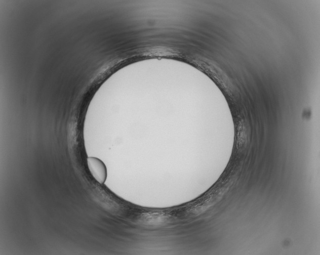 X0000116450351201001191557