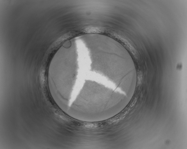 X0000116450353201001191557