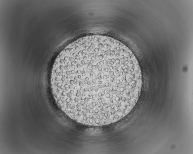X0000116450354201001191557