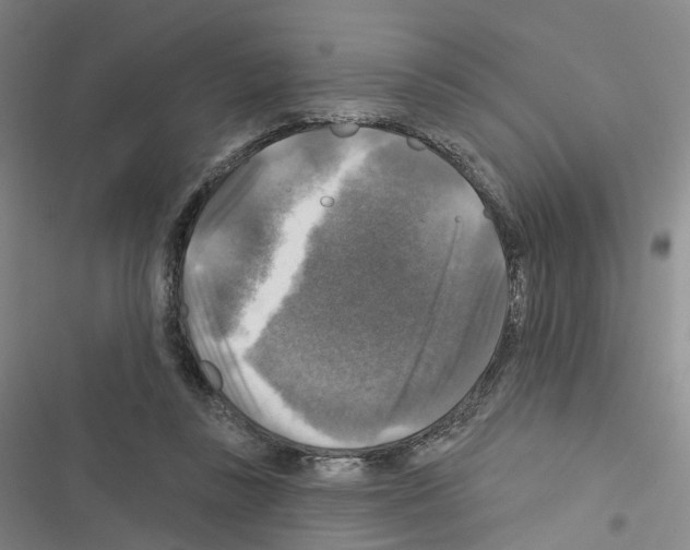 X0000116450355201001191557