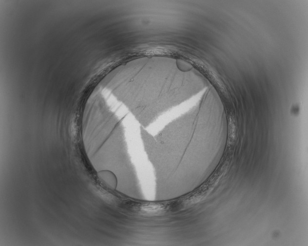 X0000116450357201001191557