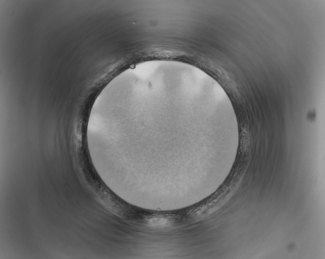 X0000116450358201001191557