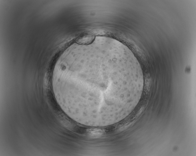 X0000116450359201001191557
