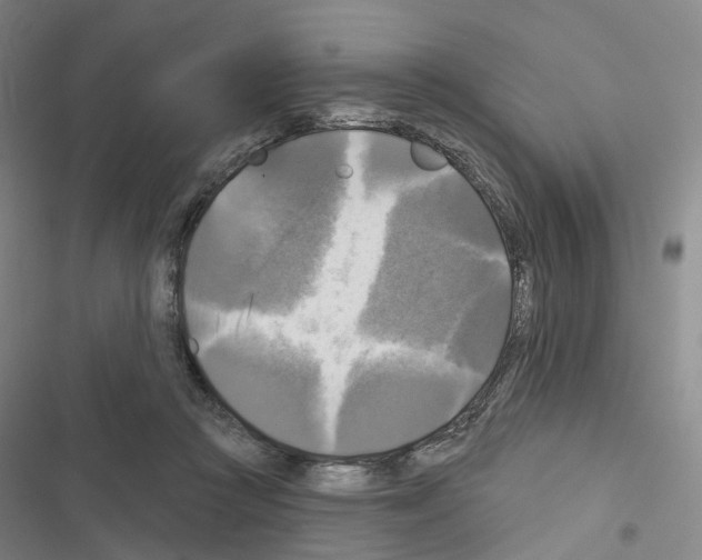 X0000116450361201001191557