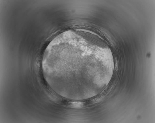X0000116450363201001191557