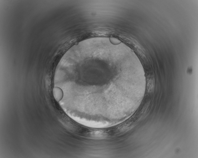 X0000116450365201001191557