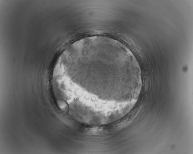 X0000116450366201001191557