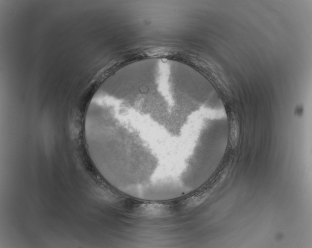 X0000116450367201001191558