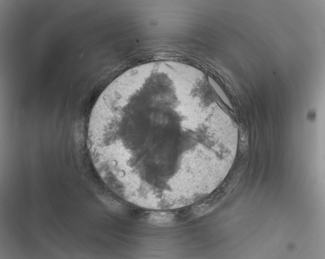 X0000116450369201001191558