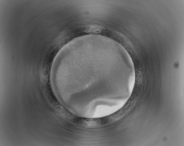 X0000116450370201001191558