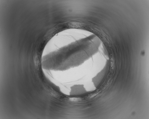 X0000116450371201001191558