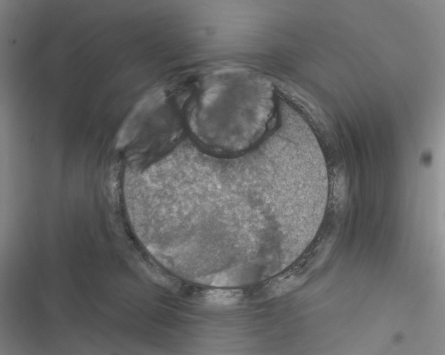 X0000116450373201001191558