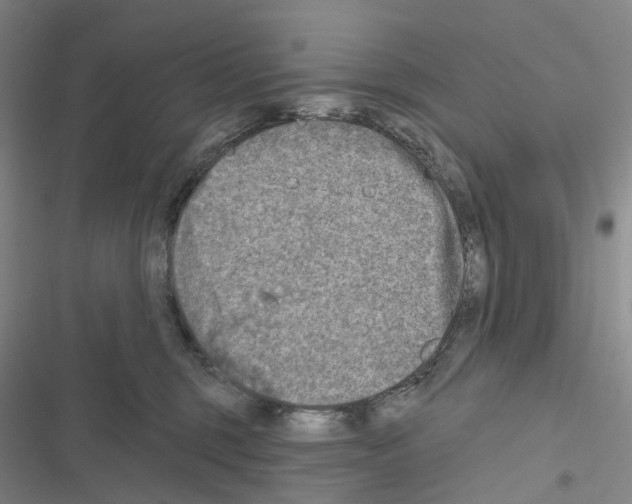 X0000116450375201001191558