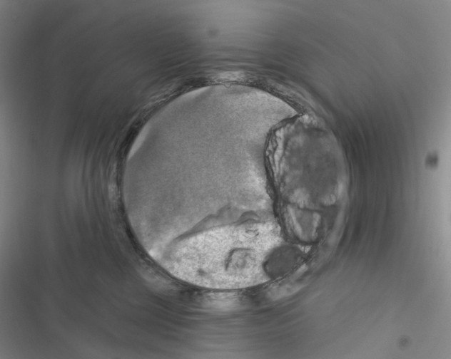 X0000116450377201001191558