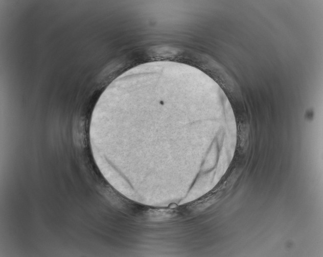 X0000116450378201001191558