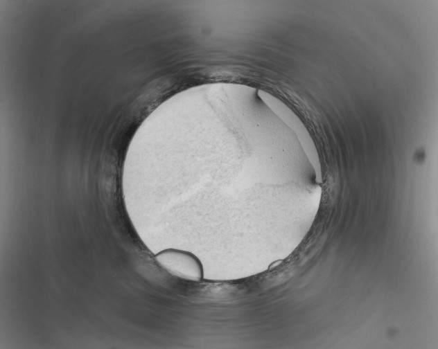 X0000116450379201001191558