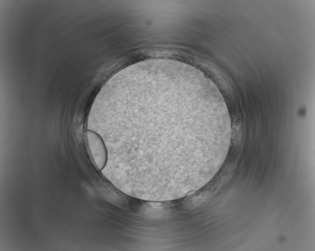 X0000116450381201001191558