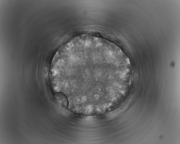 X0000116450382201001191558