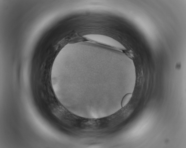 X0000116450383201001191558