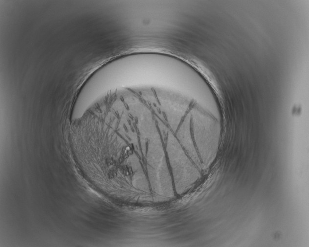 X0000116450385201001191557
