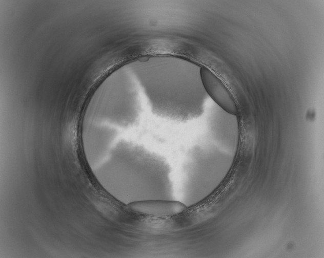 X0000116450386201001191557