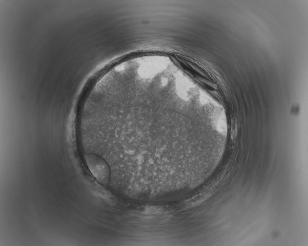 X0000116450388201001191557