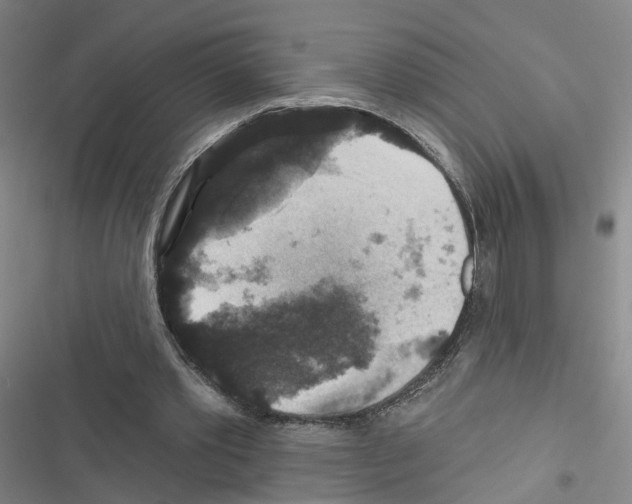 X0000116450389201001191557