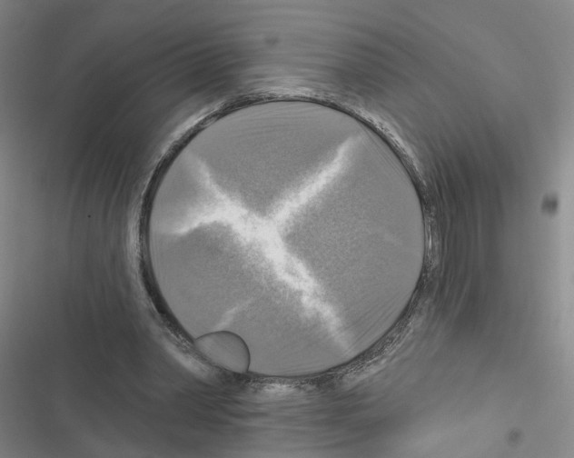 X0000116450390201001191557
