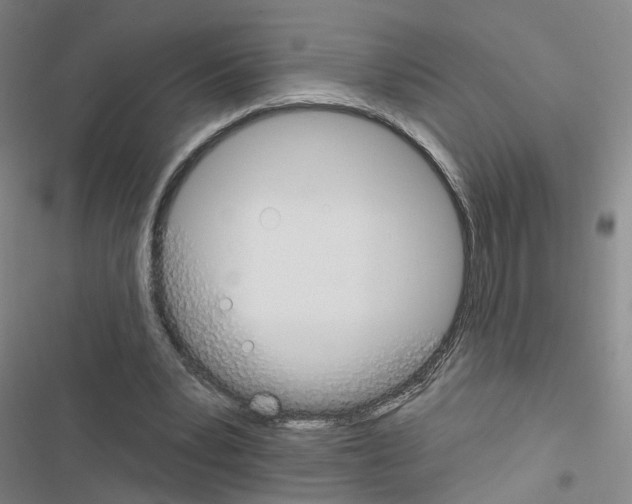 X0000116450391201001191557