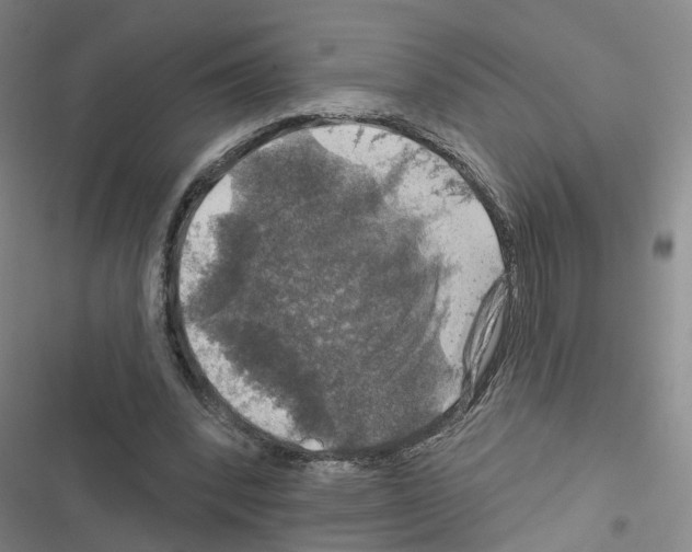 X0000116450392201001191557