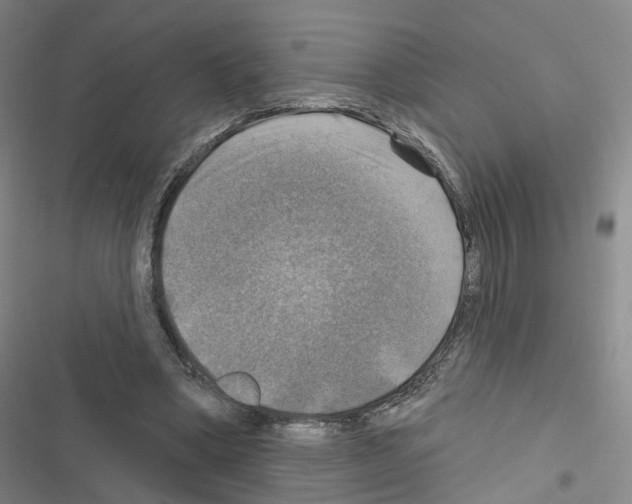 X0000116450394201001191557
