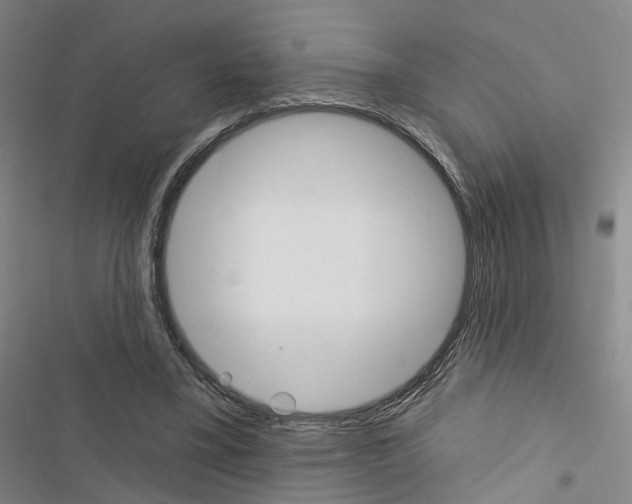 X0000116450395201001191557