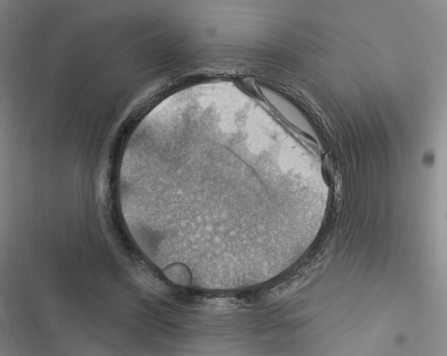 X0000116450396201001191557