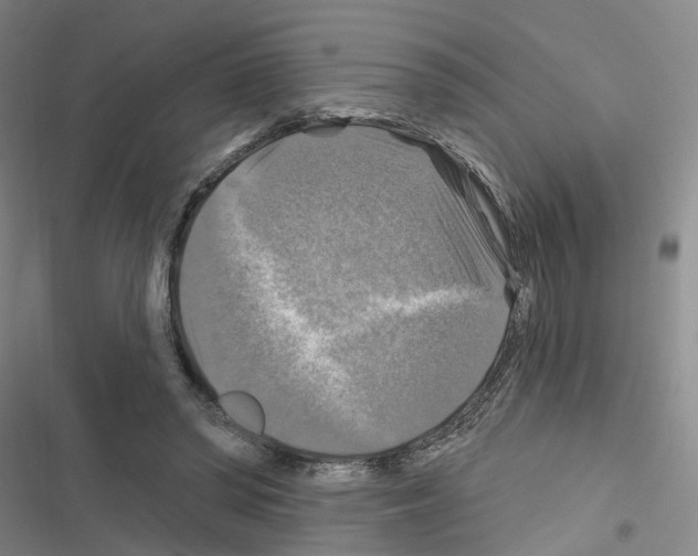 X0000116450398201001191557