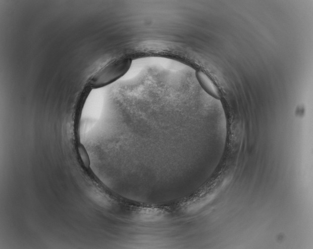 X0000116450399201001191557