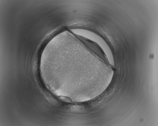 X0000116450400201001191557