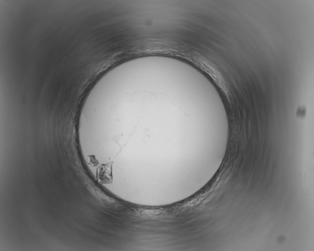 X0000116450401201001191557