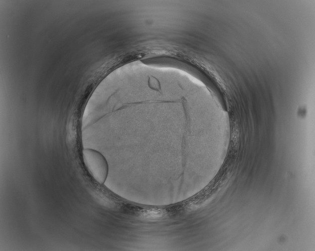 X0000116450402201001191557