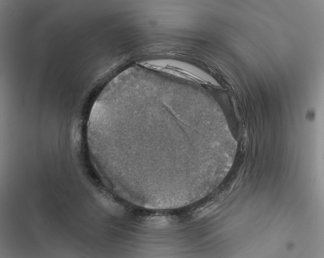 X0000116450404201001191557