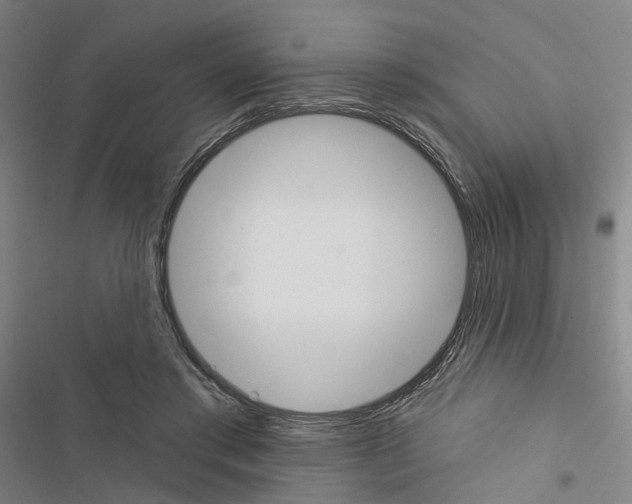 X0000116450405201001191557