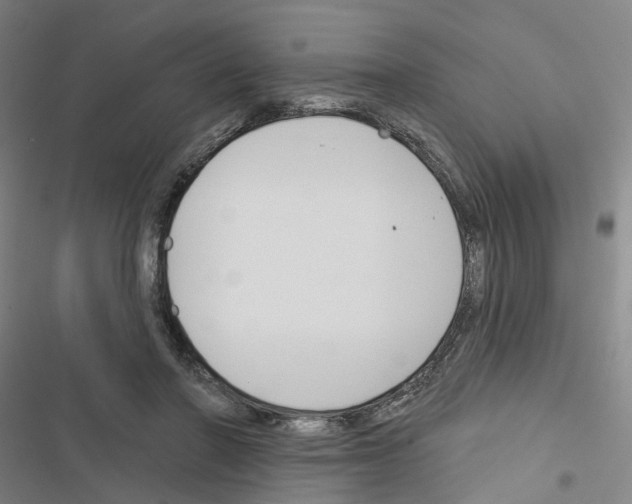 X0000116450406201001191557