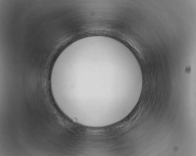 X0000116450407201001191557