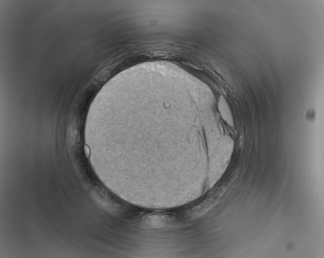 X0000116450408201001191557