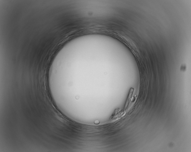 X0000116450409201001191557